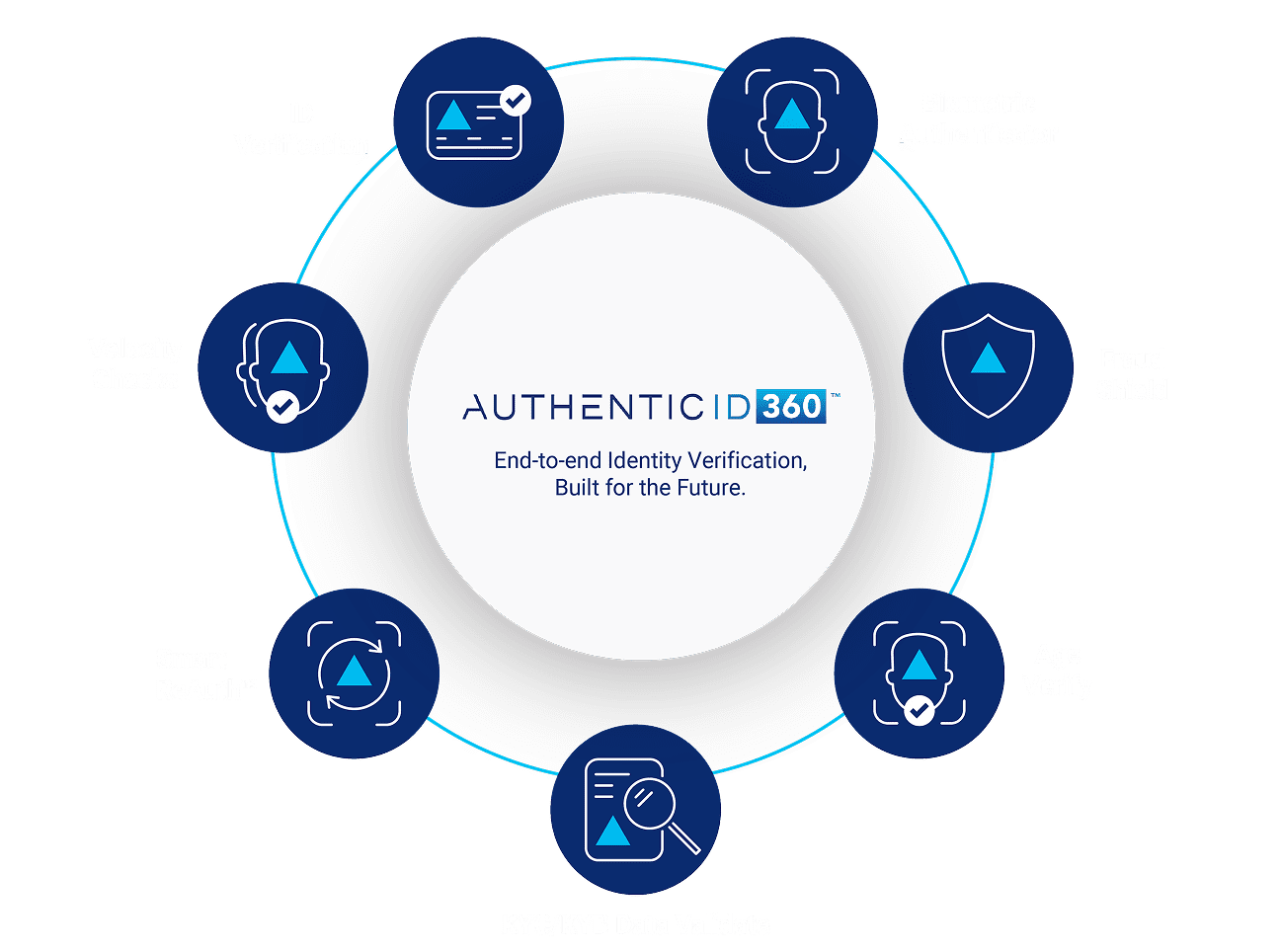 Our Platform