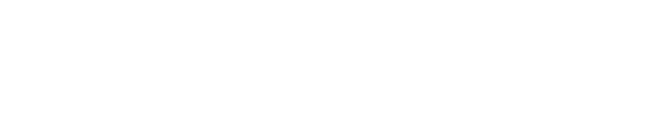 Authvia Logo White 1